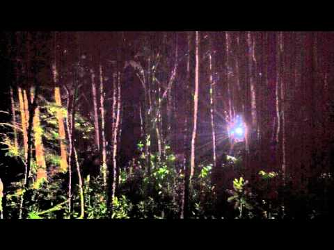 Enchanted Forest Pitlochry 2010