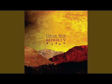 Video thumbnail for Swans