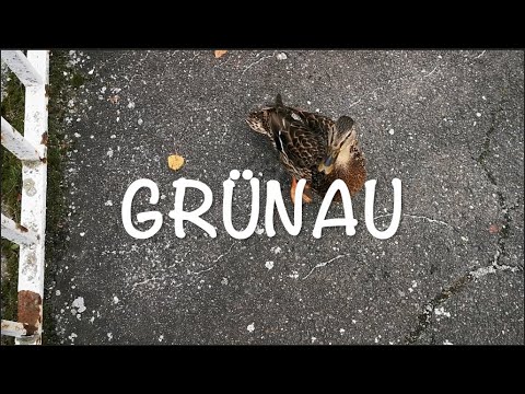 Living in Berlin VLOG / Traveling to Grünau in late November, relaxed walk in near-urban nature.