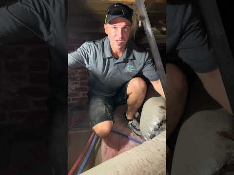 Improper Insulation Leads to Moisture and Mold in Your Attic