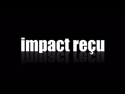 RAS ABRAHAM & ERM - IMPACT REÇU (EXCERPT)