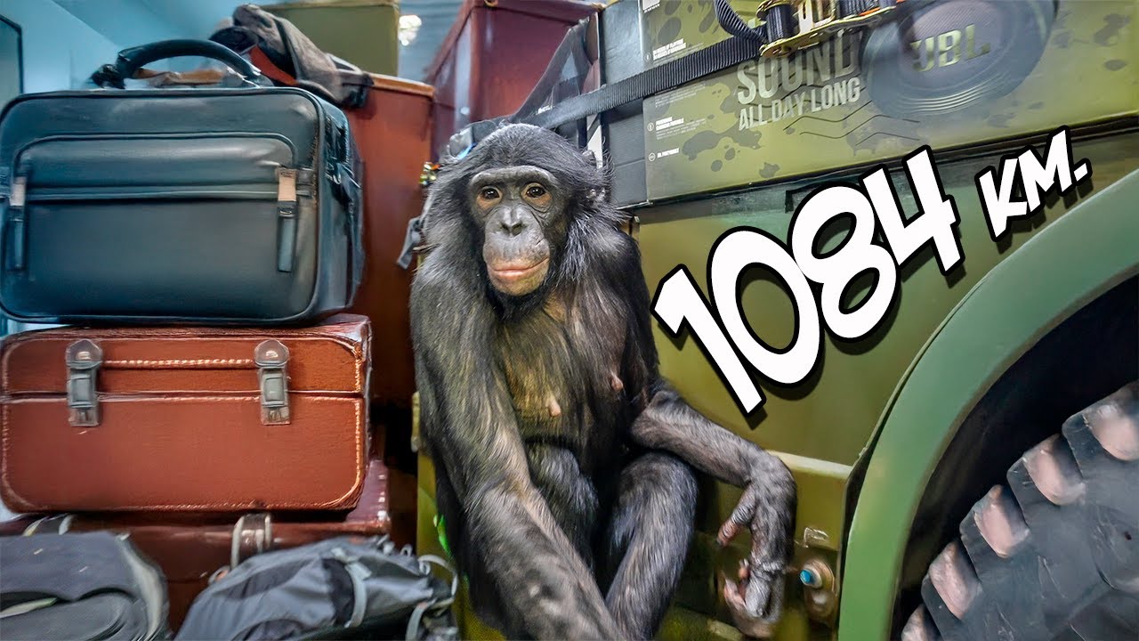 Сможем ли мы проехать 1084 км до Караганды за 2 дня на автодоме?