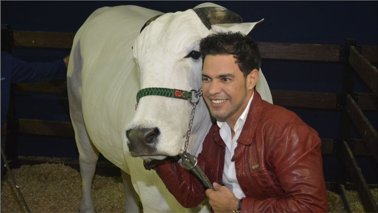 LEILÃO NELORE É O AMOR - 27 OUTUBRO 2015 - SÃO PAULO SP