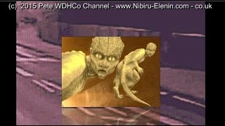 DAVID ICKE Is Right 👽 Morphing ORB To Reptilians BEST EVER Capture SCAREY Stuff