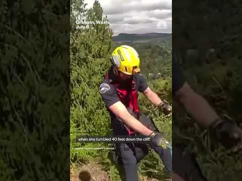 Dog rescued after falling 40 feet down Washington cliffside