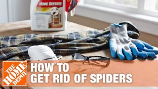 How to Get Rid of Spiders in Your House | The Home Depot