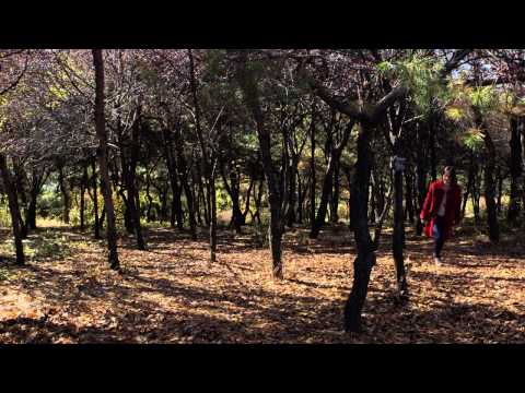 만일의 세계 The World of If