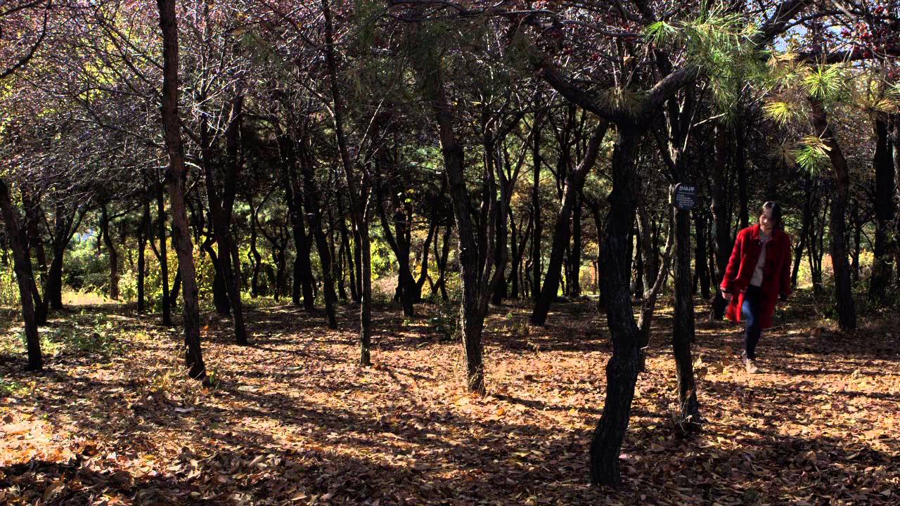 만일의 세계 The World of If