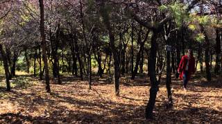 만일의 세계 The World of If