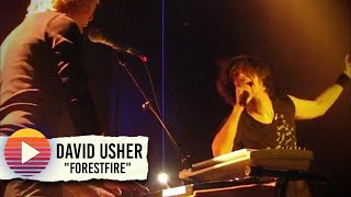 David Usher - Forest Fire