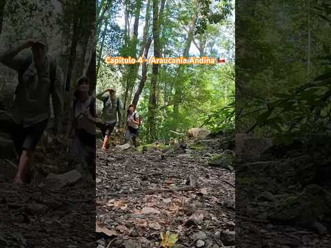 ▶️CAPÍTULO 4 | TEMPORARA ARAUCANIA ANDINA | CURARREHUE 🇨🇱
