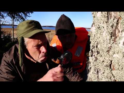 KAJs Julkalender 2013: Avsnitt 6 - Shärilock Holm