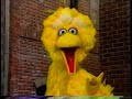 Sesame Street Scenes From Episode 3602
