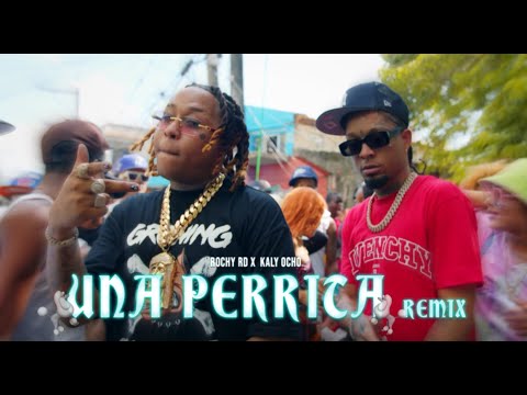 Rochy RD  ❌ Kaly Ocho 🎱 - Una Perrita 🐩 Remix (Video Oficial)