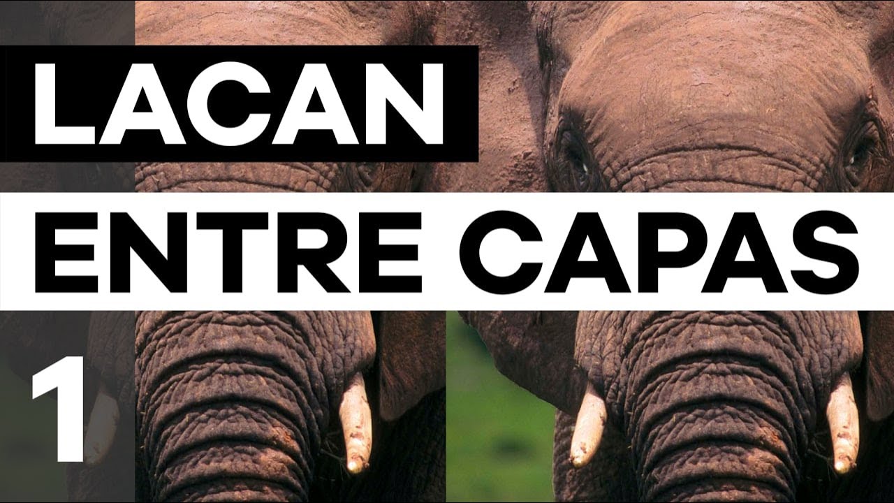 O seminário 1 - Os escritos técnicos de Freud | Lacan entre Capas | Christian Dunker