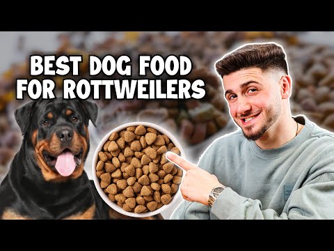 Top 3 Best Dog Foods For A Rottweiler