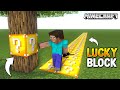 Minecraft but Everything I touch turns Lucky Block...