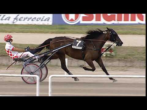 Napoli Trotto 21/09/2023 - 5ª corsa