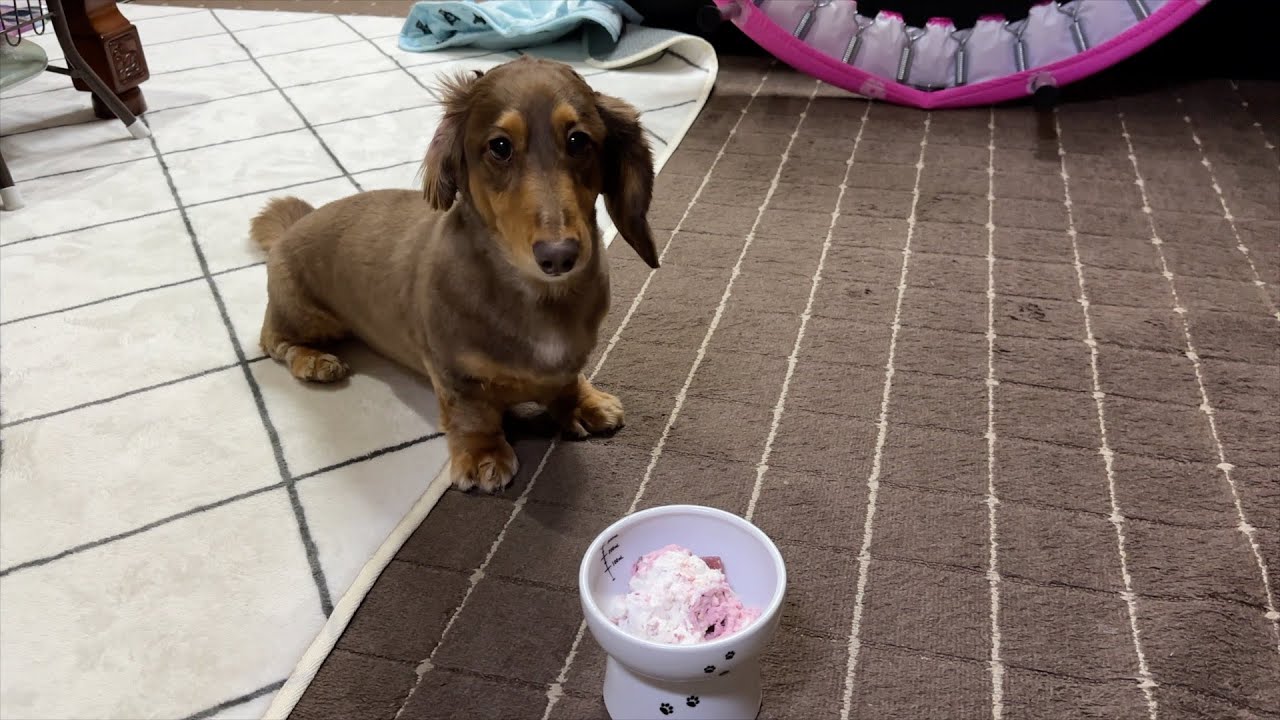 ケーキの盛り付けが絶望的【誕生日】