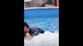 #shorts #hongkong #usa  #ksa #france #españa #tchéquie #lettonie #allemagne #australia #tiktok