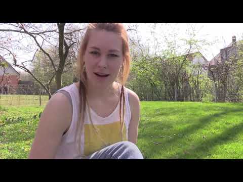 Das Pandemie Poesie Projekt: Es sitzt ein Vogel auf dem Leim