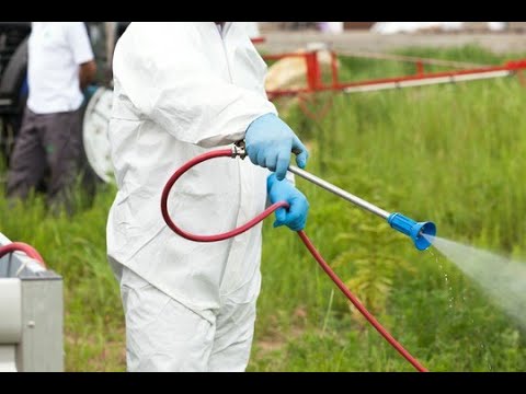 Zobacz filmy, Eco-Tech Przemysław Szubert, Bełchatów
