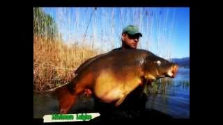 CarpFishing 2012