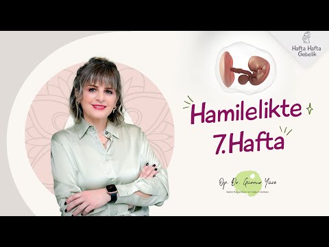 Gebelikte 7. Hafta | Op. Dr. Günnur Yüce | Hafta Hafta Gebelik