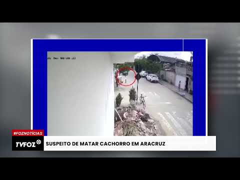 Suspeito de matar cachorro em Aracruz