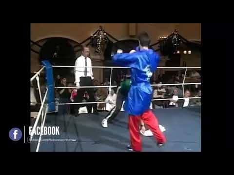 BEST KNOCK-OUTS MLADEN STEKO