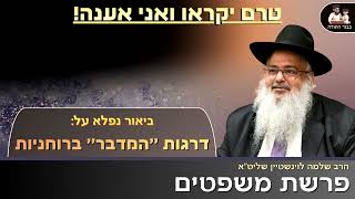 "טרם יקראו ואני אענה" – הרב שלמה לוינשטיין שליט"א (פרשת משפטים) (הרב שלמה לוינשטיין) - התמונה מוצגת ישירות מתוך אתר האינטרנט יוטיוב. זכויות היוצרים בתמונה שייכות ליוצרה. קישור קרדיט למקור התוכן נמצא בתוך דף הסרטון