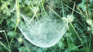 Villages around Tosya - scenic tour