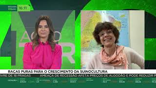 Miniatura do vídeo