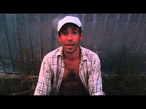 Mihai (tulush) de la Glavanesti 2