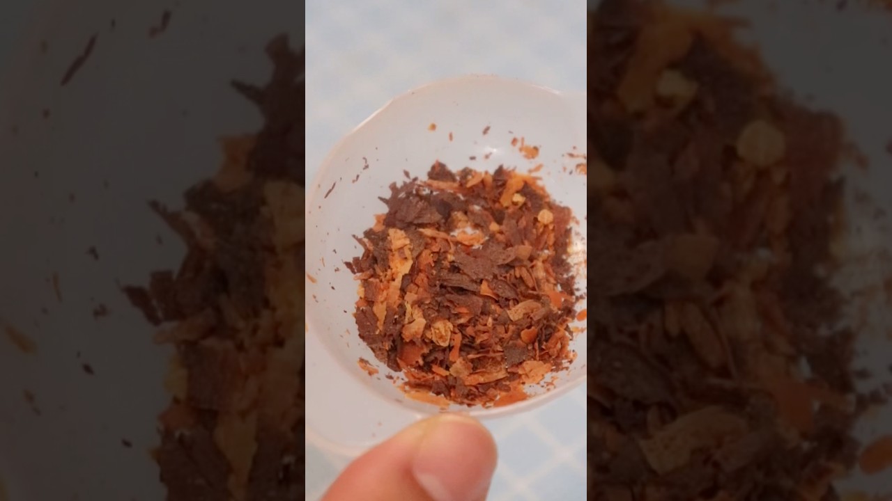 カカオの香りがしてきそう…🤎🤍削りチョコ🍫をトッピングしたカメさん作り🐢