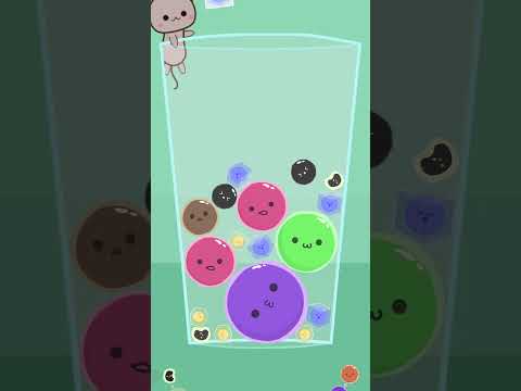 Boba Bunch