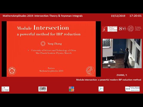 MathemAmplitudes 2019 - Yang Zhang