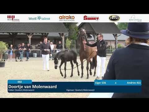 Locatiekeuring | De Nieuwe Heuvel | 11 juni 2025