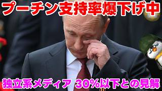 【ペンギン閣下】プーチンの支持率爆下がり中【ウクライナ情勢】