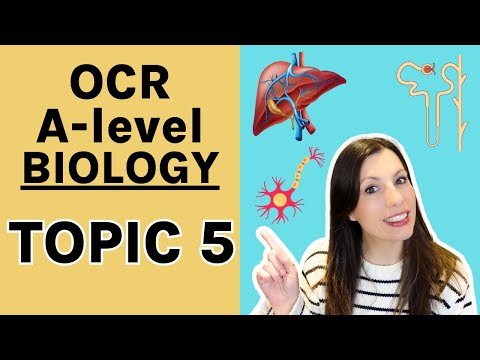 Module 5 OCR A level Biology: Nervous and hormonal response| Responses| Respiration | photosynthesis