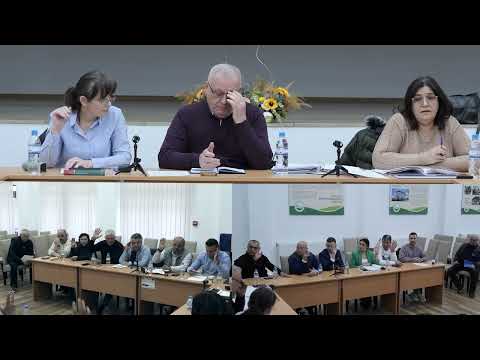 Ședințele Consiliului local