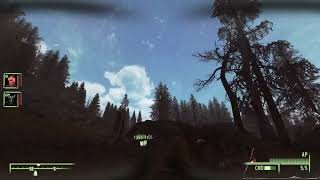 New Vegas Reloaded 4 + Dynavision  Test in TTW 3.3.2 No ENB!