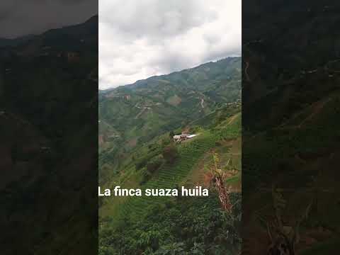 #automobile #retro #nostalgia