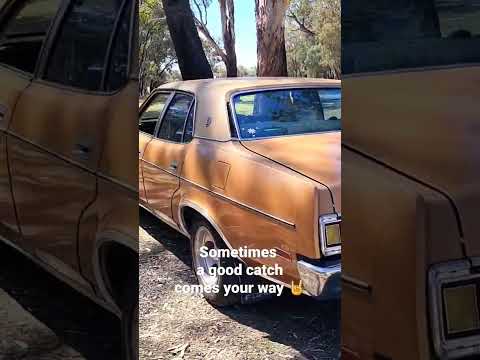 Thumbnail for ZH Fairlane Marquis - New family member 🤘 #351 #ford #v8 #aussie