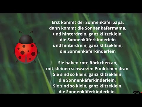 Das Sonnenkäferlied