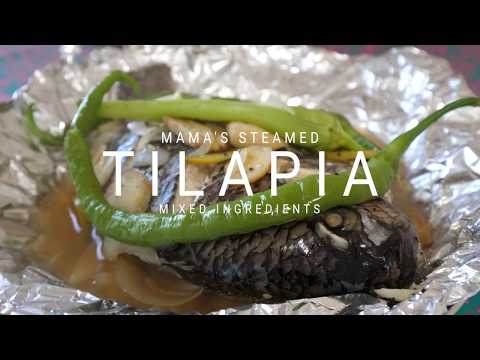download lagu mp3 mp4 Steamed Tilapia, download lagu Steamed Tilapia gratis, unduh video klip Steamed Tilapia