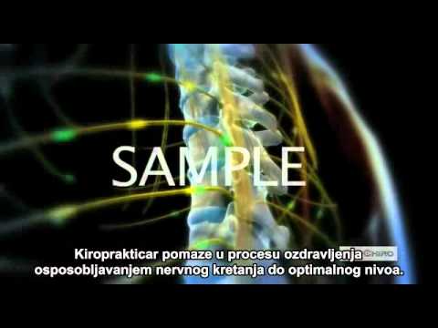 Chiropractic Eduka Radovan Repac.avi
