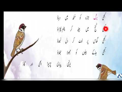 Ghalib Urdu 5 - Ch # 22 (part 1)