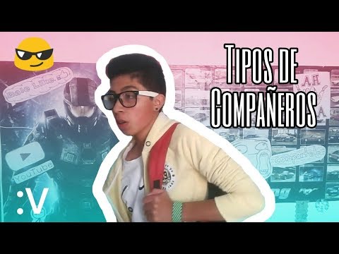 Tipos De Compañeros | XTILLO