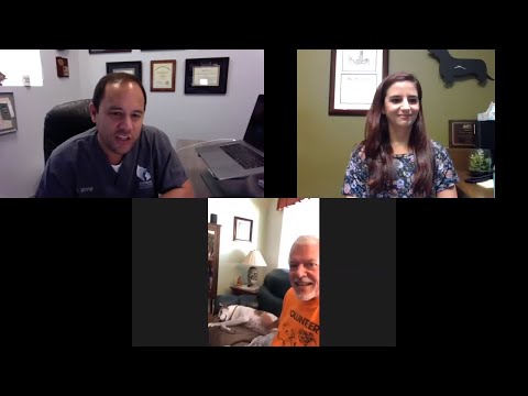 Seizure Management, Flea And Tick Treatments, And More || Q&A - August 19, 2020